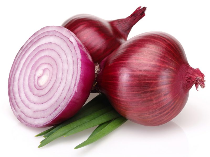 12_onion (1)