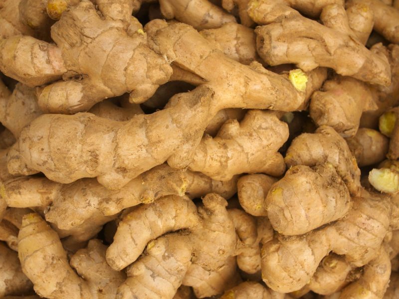 Ginger_95629390