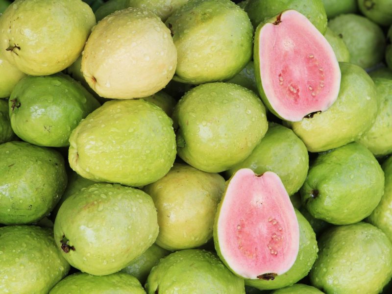 Guava-Wallpapers-HD