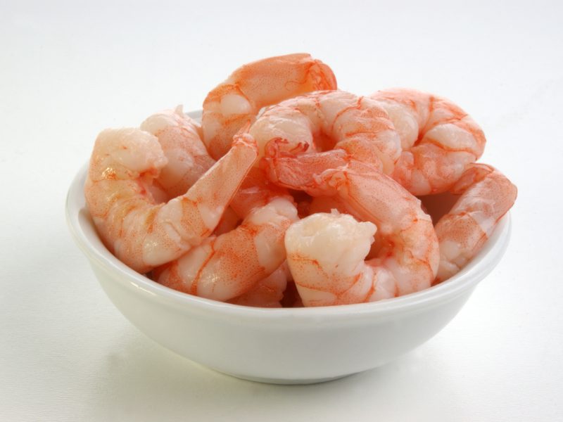 shrimp-2