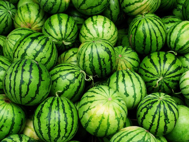 shutterstock_126068165